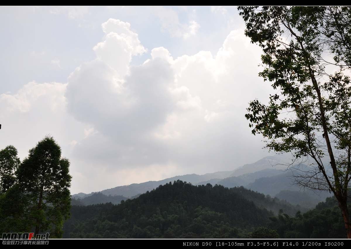 DSC_0100.jpg