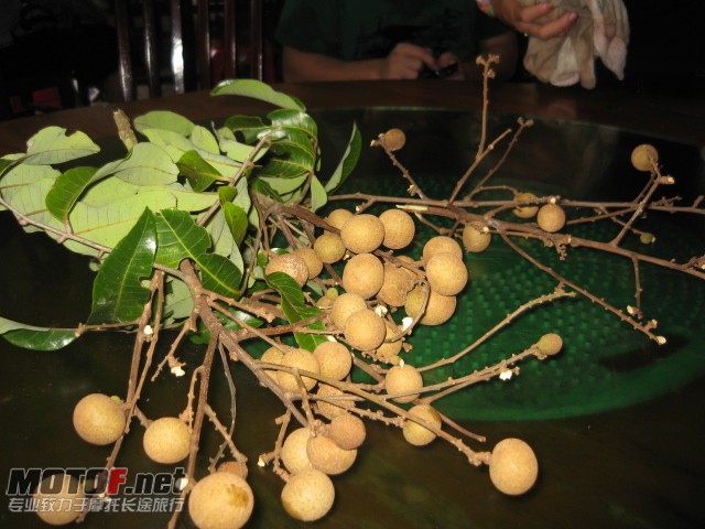 IMG_0030.JPG