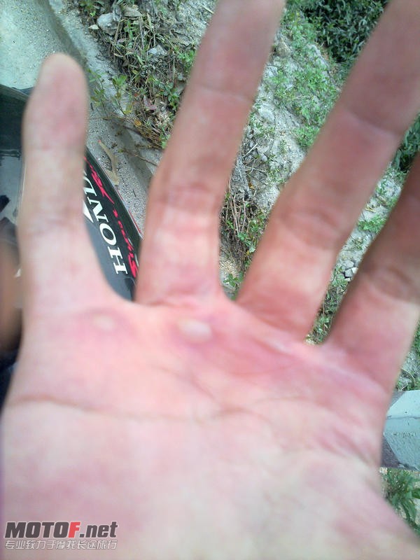20100725058.jpg