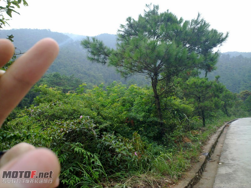 20100727107.jpg