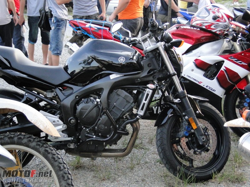 FZR600