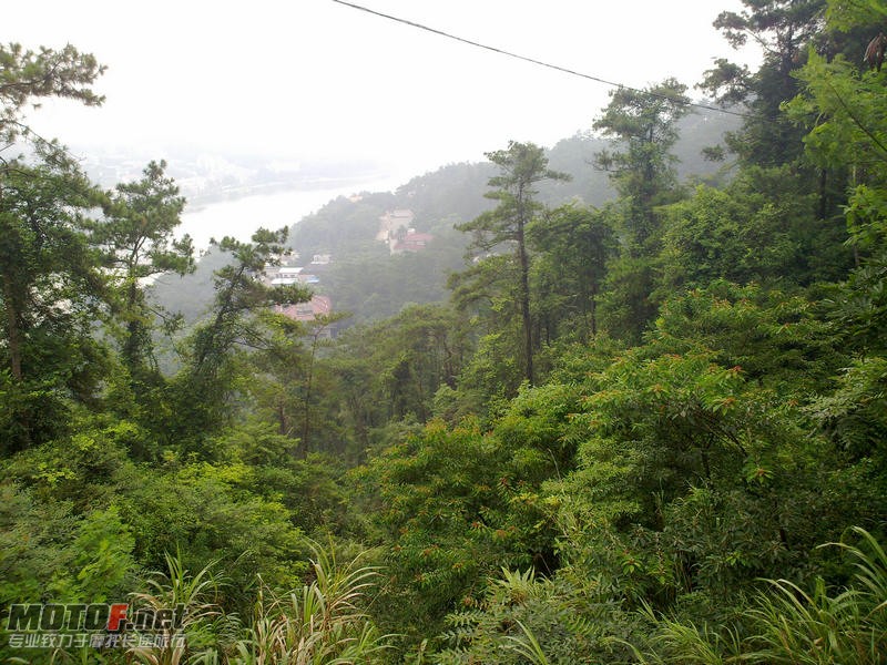 20100727120.jpg
