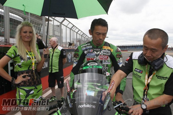 paddock_girls_silverstone_34.jpg