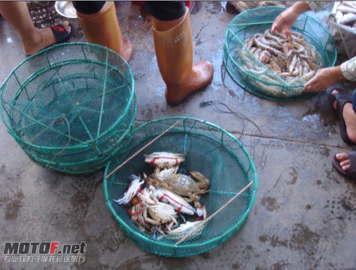 海鲜了。！！