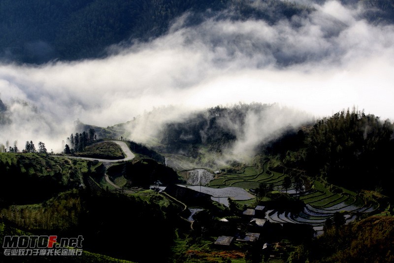 _MG_2788.jpg
