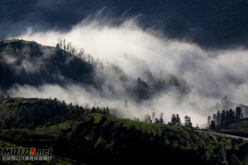 _MG_2785.jpg