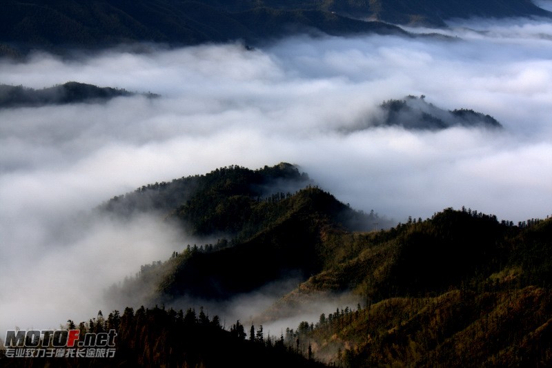 _MG_2763.jpg