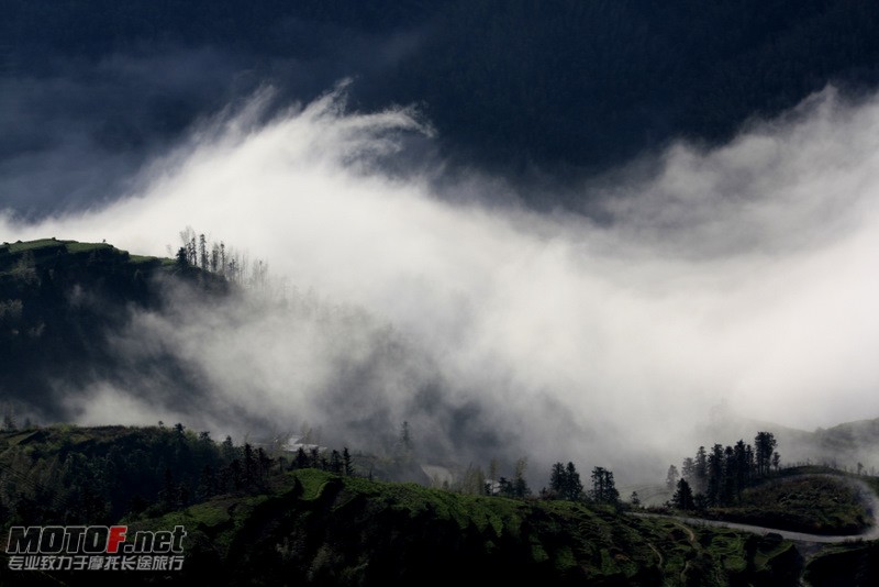 _MG_2794.jpg