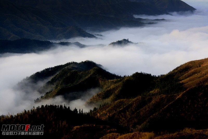 _MG_2733.jpg