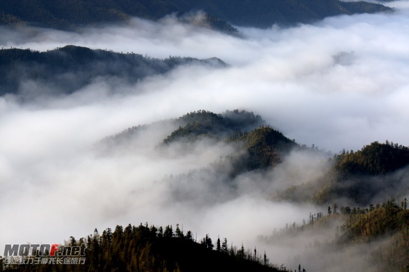 _MG_2774.jpg