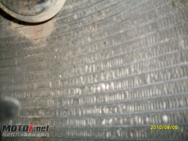 SDC11786 [640x480].JPG