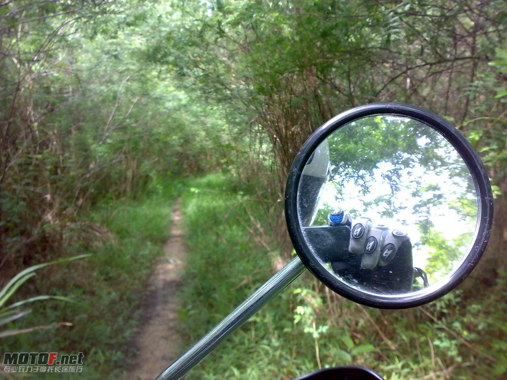 201008071177.jpg
