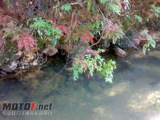 201008071182.jpg