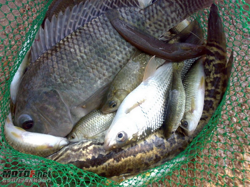 201008071187.jpg