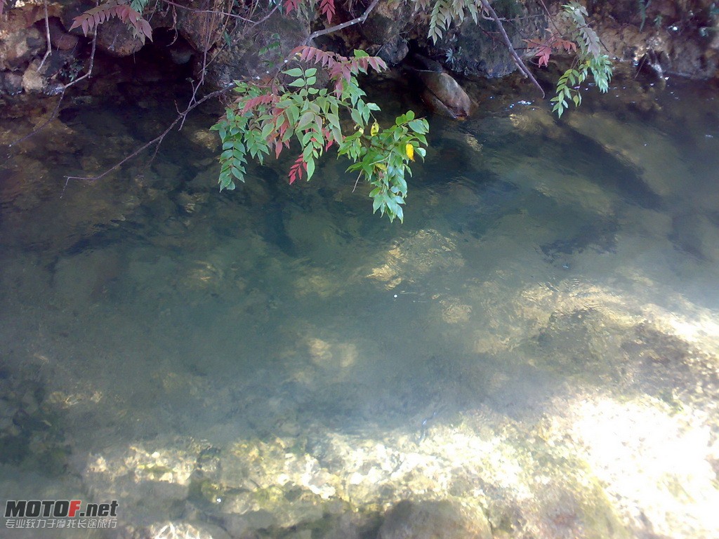 201008071183.jpg