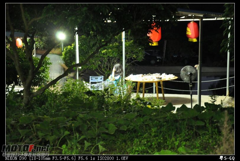 DSC_1145.JPG