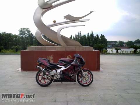 CBR29