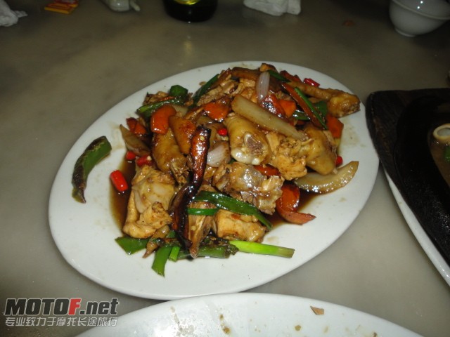 DSC01072.JPG