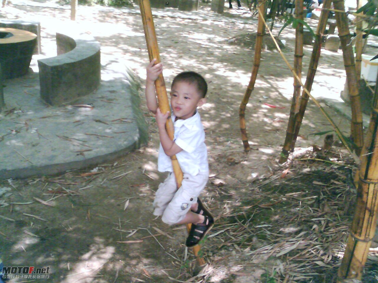 201008101225_00134.jpg