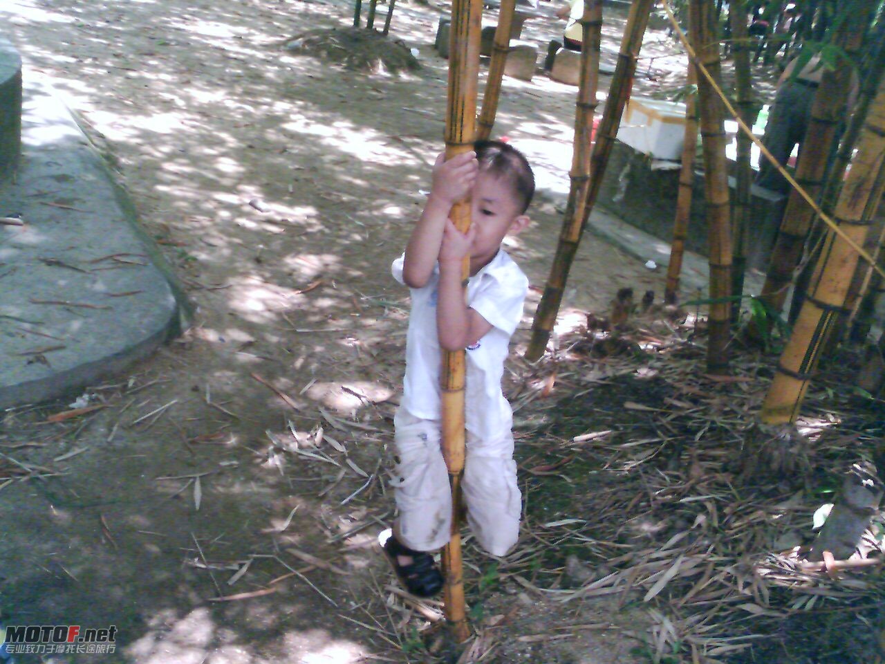 201008101225_00135.jpg