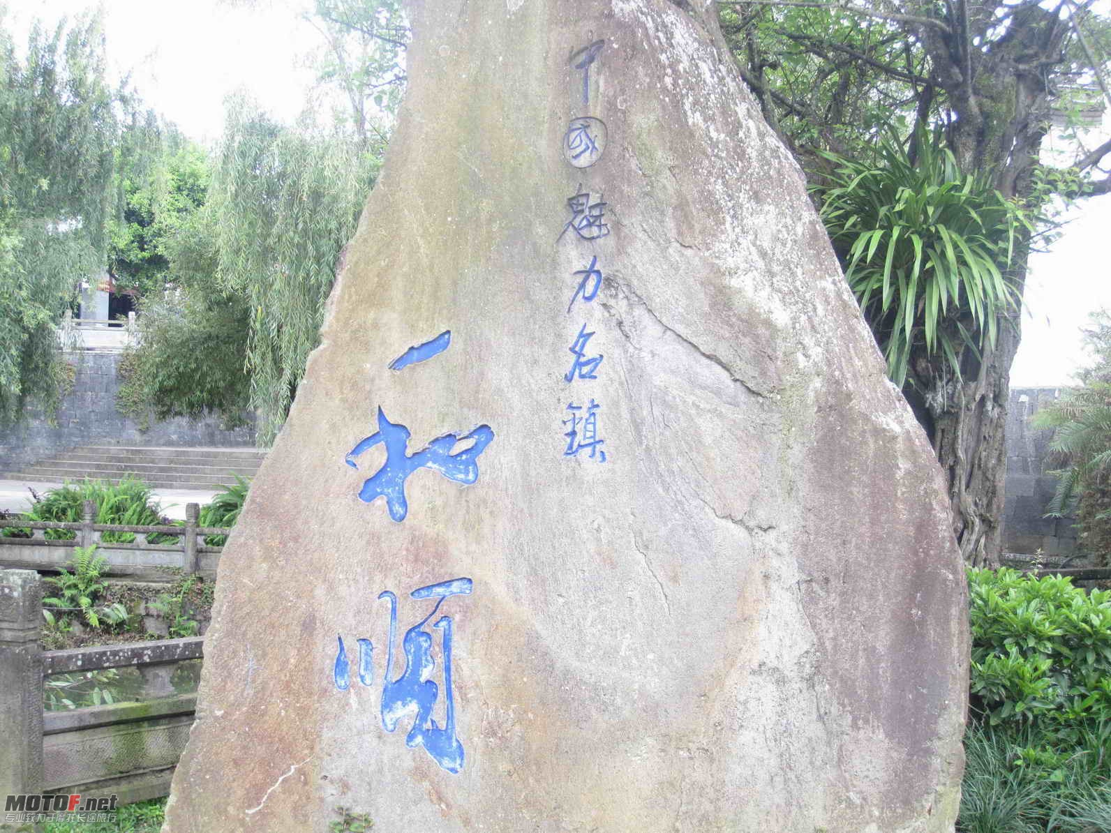 ACD86.jpg