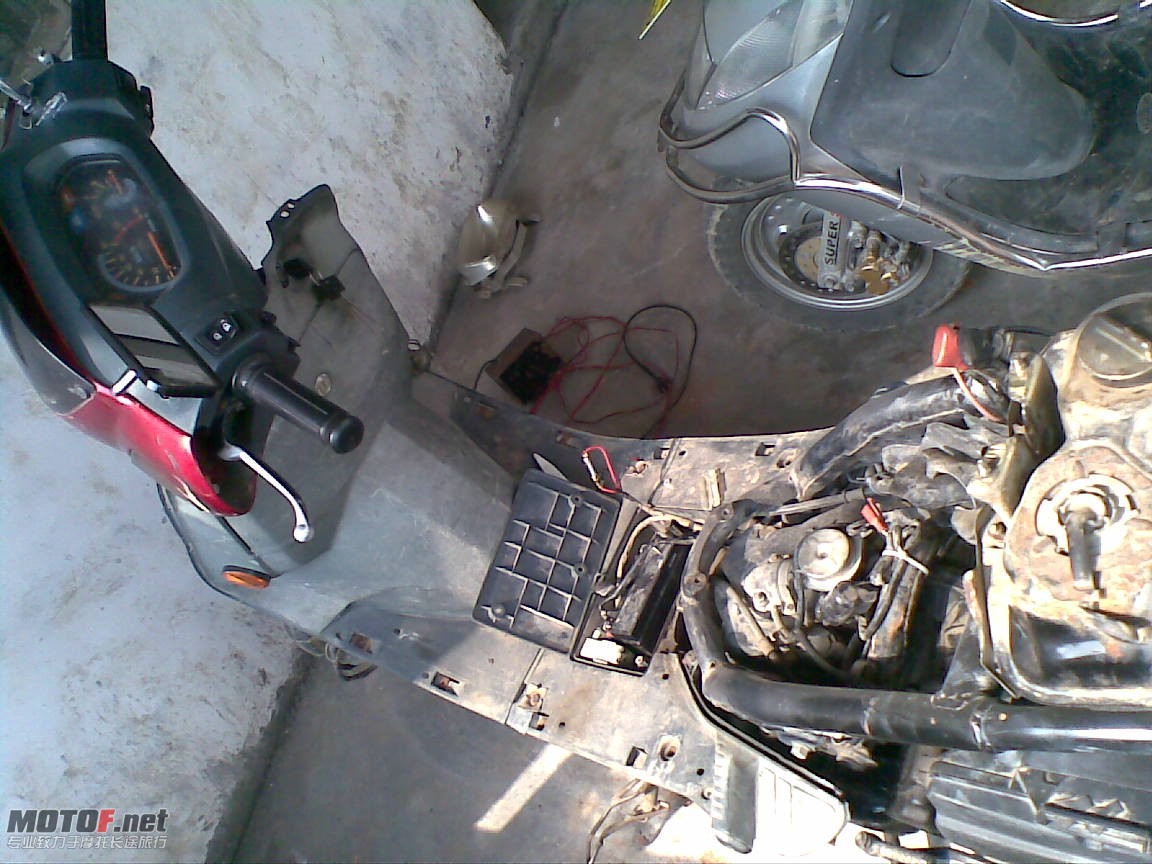 20100812(012).jpg