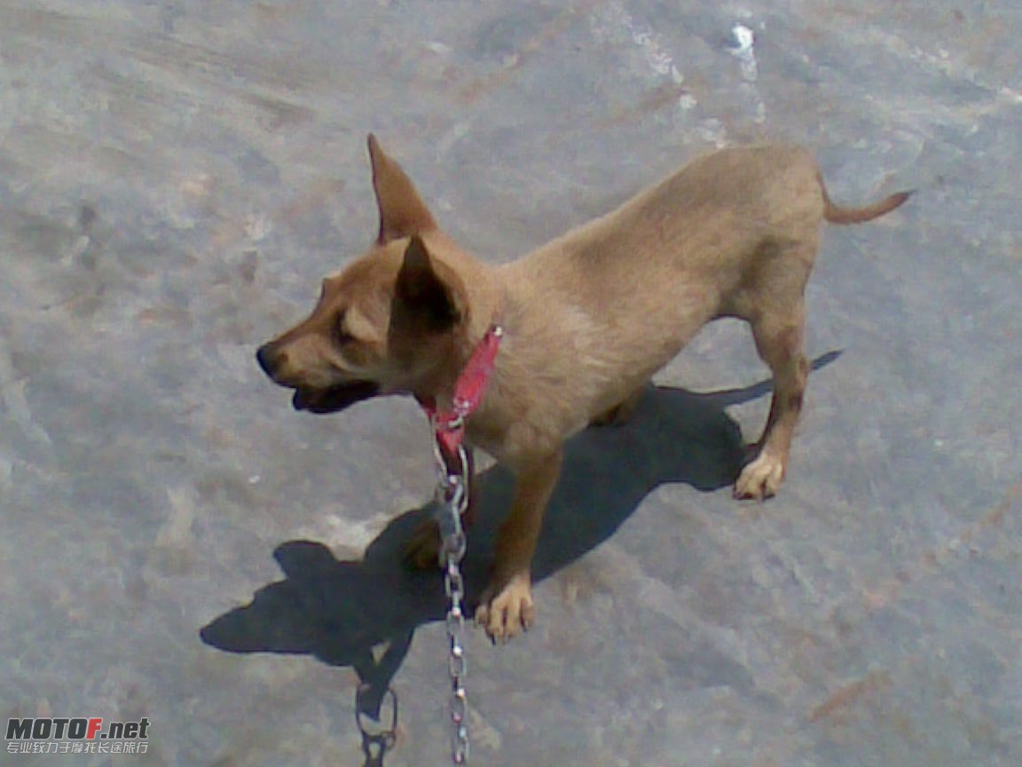 20100812.jpg
