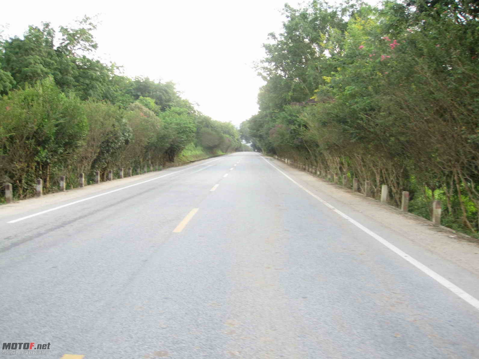 ACD106.jpg