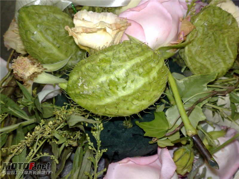 20100802036_副本.jpg