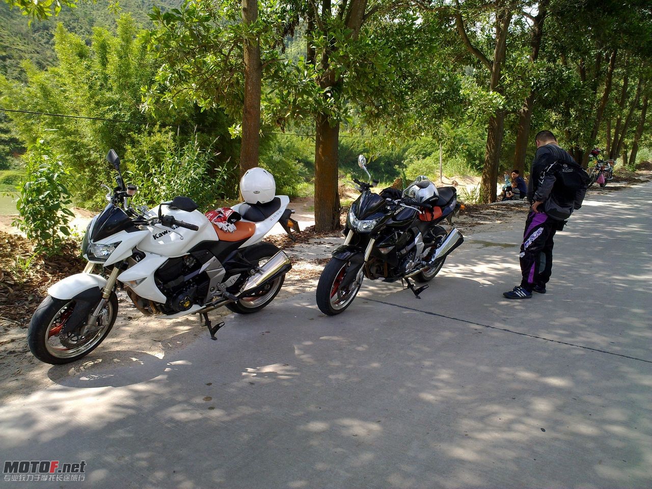 20100815412.jpg