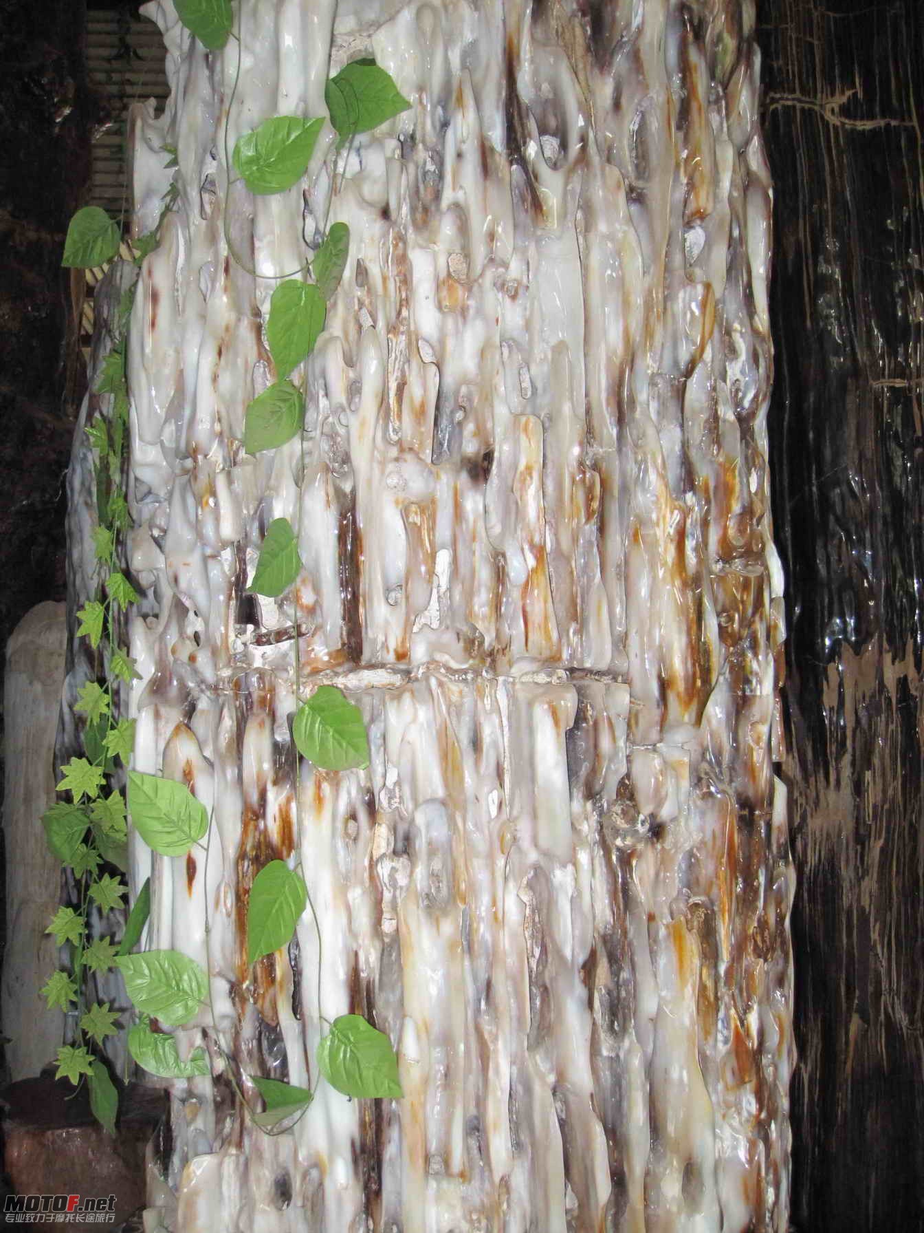 ACD110.jpg