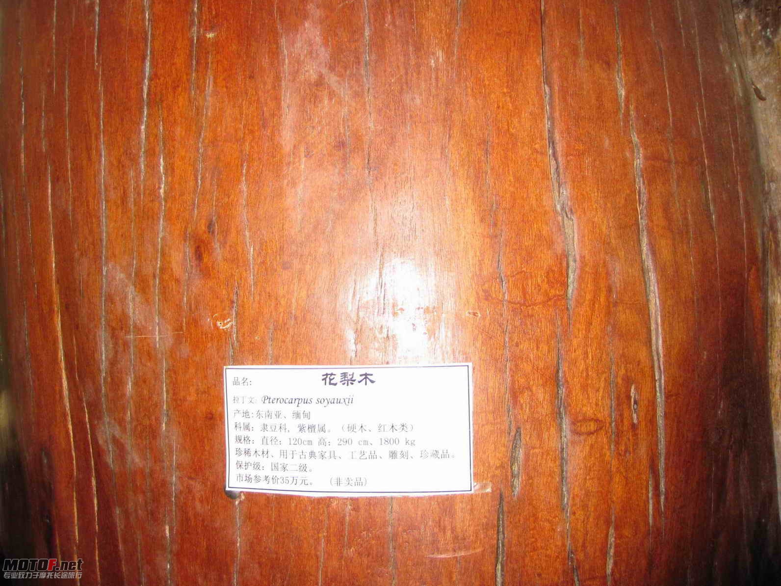 ACDEE.jpg