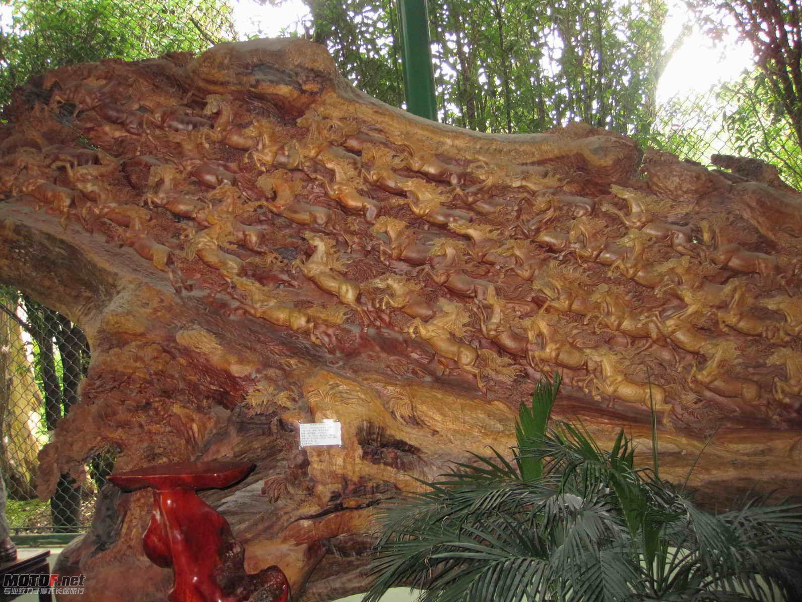 ACD10B.jpg