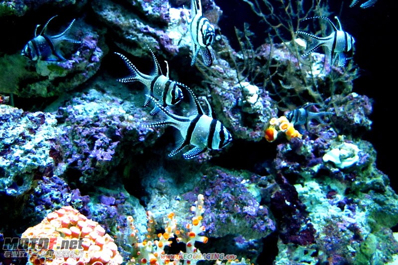 F23_20100813113834823.jpg
