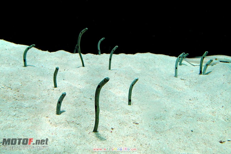 F23_20100813114714490.jpg