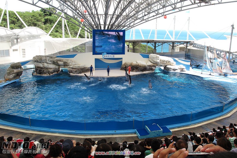 F23_20100813115143594.jpg