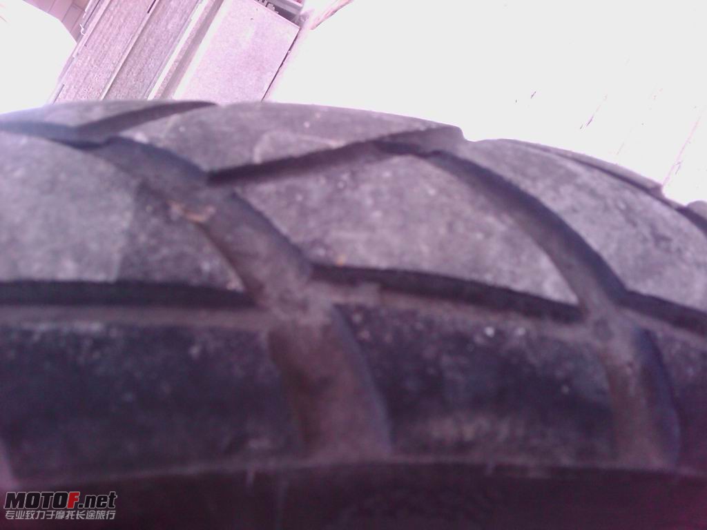 IMAG0229.jpg