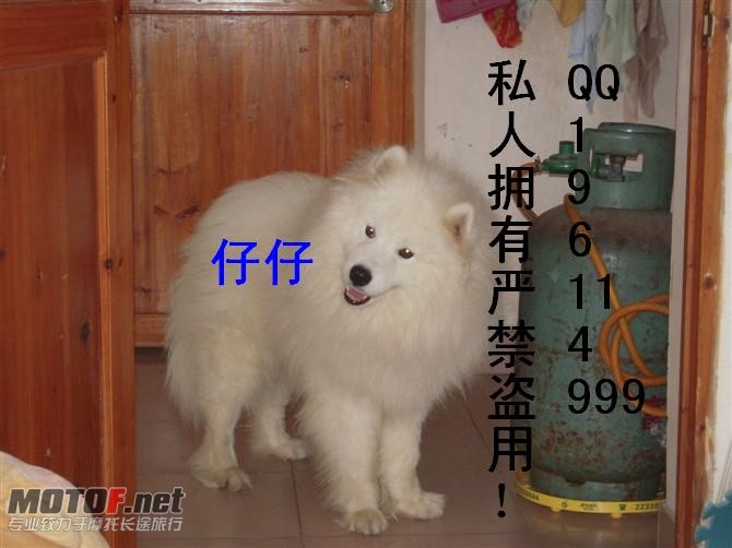 http_imgloadCAF1BMVR.jpg