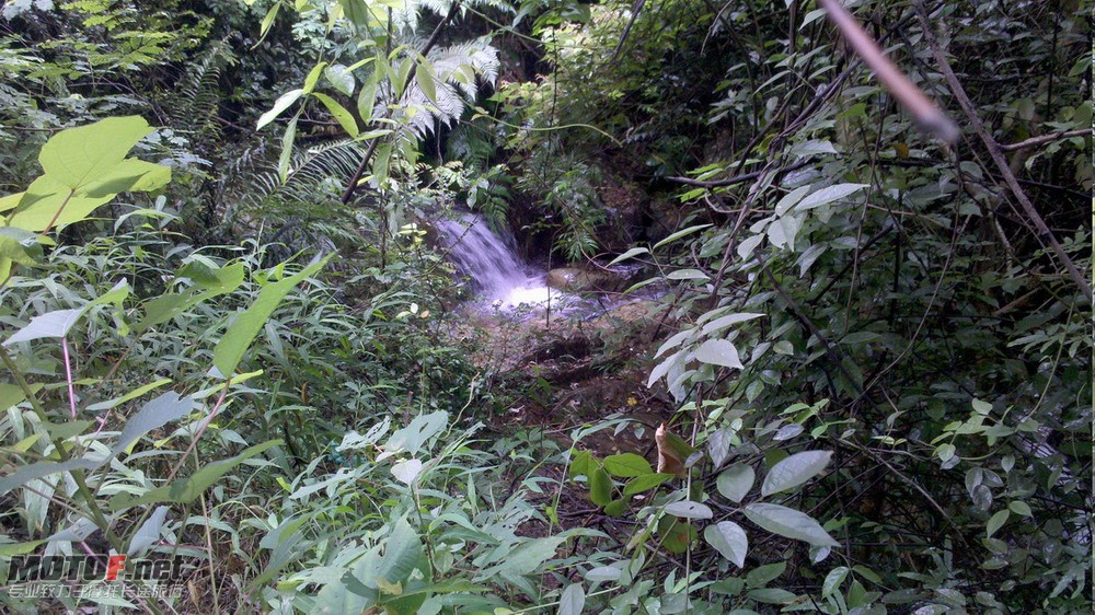 2010-08-15_14-25-45_337.jpg