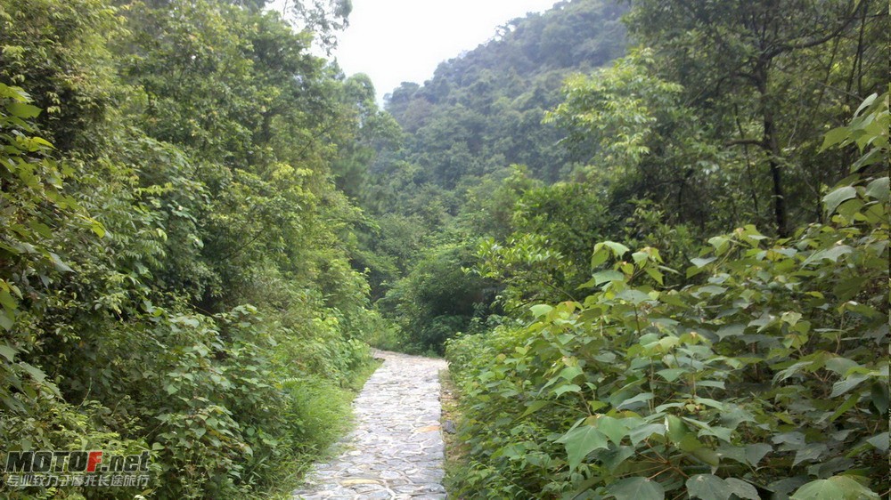 2010-08-15_14-24-35_2.jpg