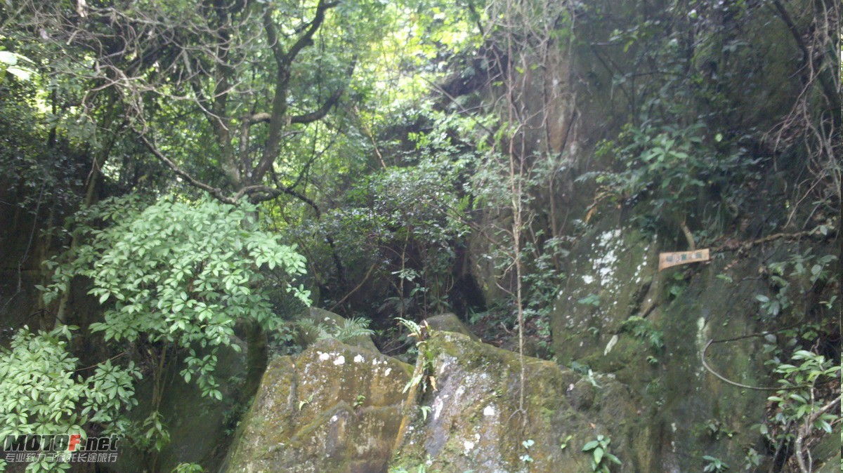 2010-08-15_14-31-09_917.jpg