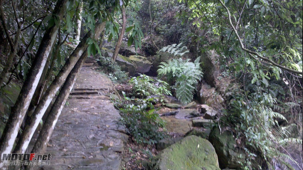 2010-08-15_14-33-47_378.jpg