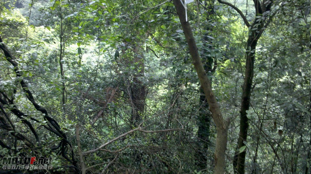 2010-08-15_14-49-02_488.jpg