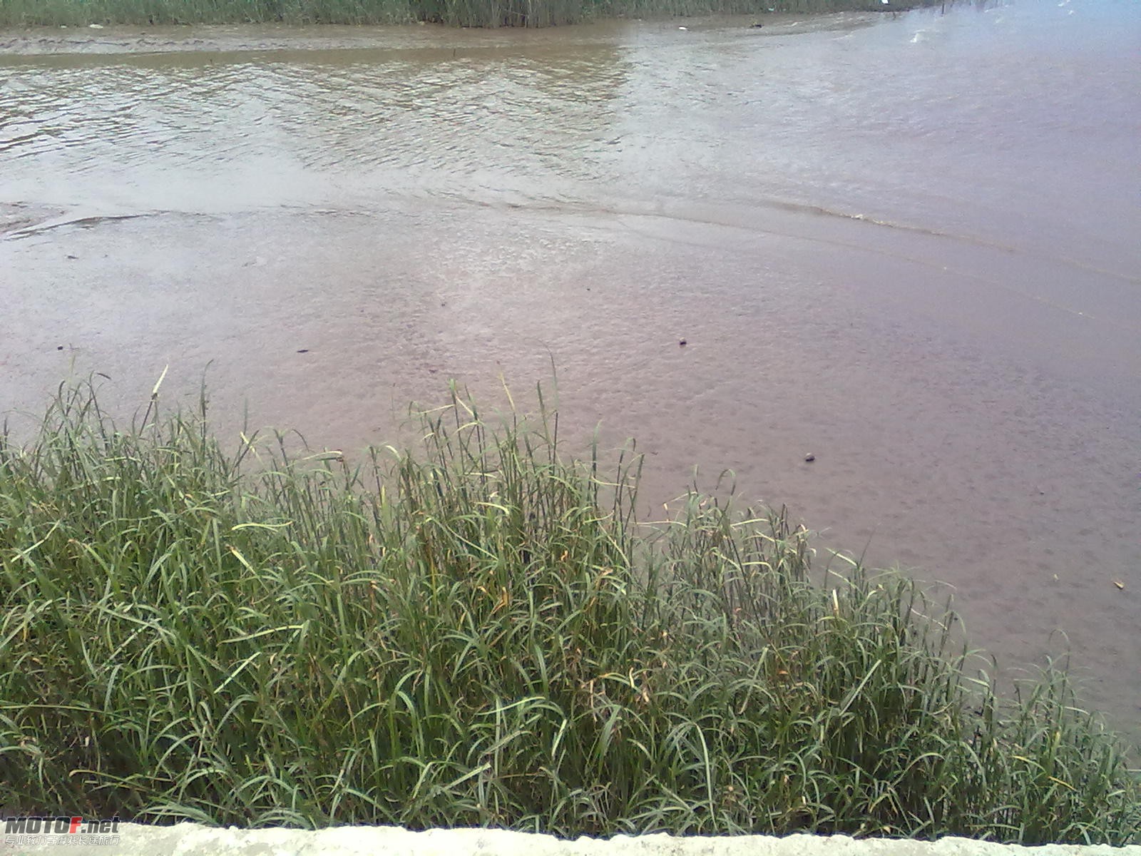 20100819133.jpg