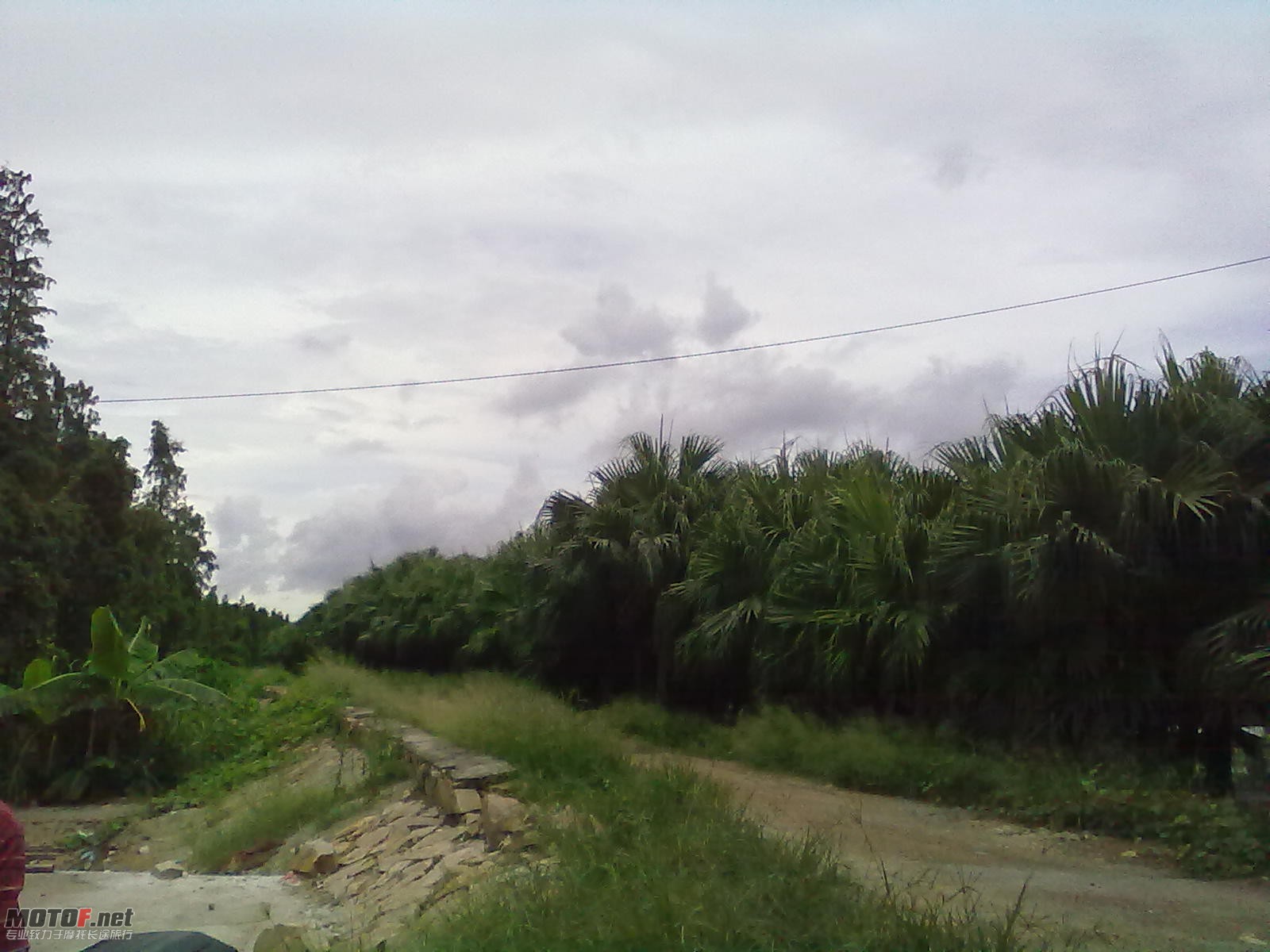 20100819137.jpg