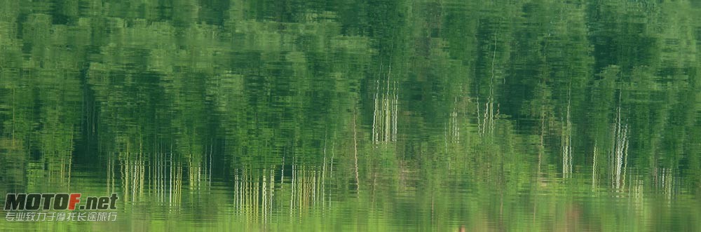 IMG_4830p.jpg