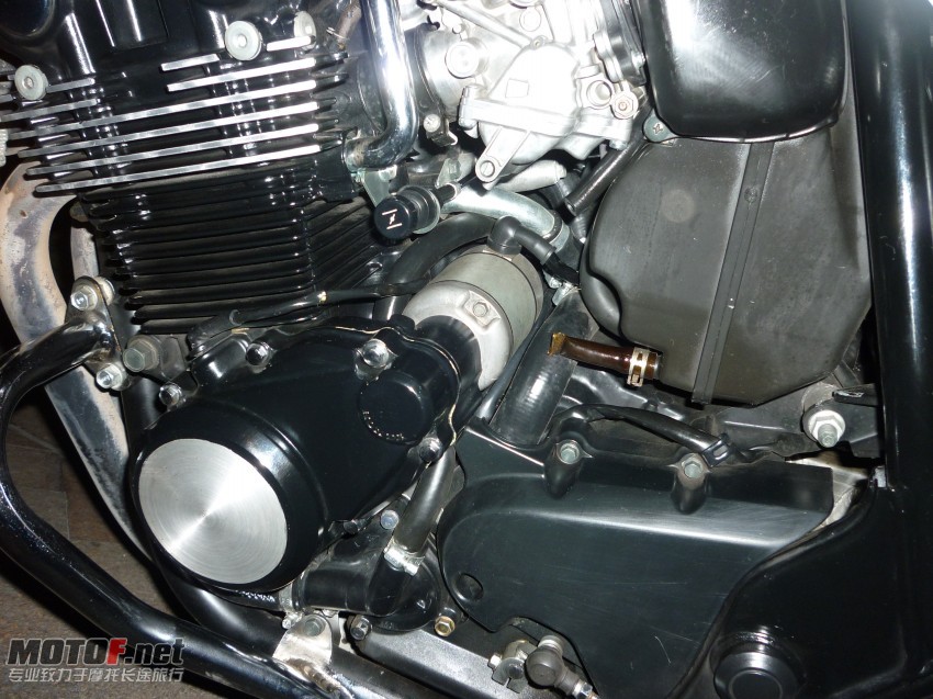 P1010626_conew1.jpg