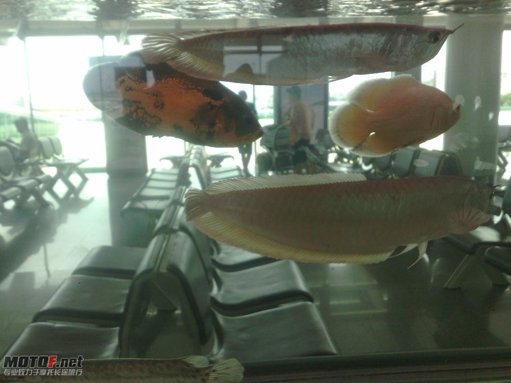 20100802113.jpg