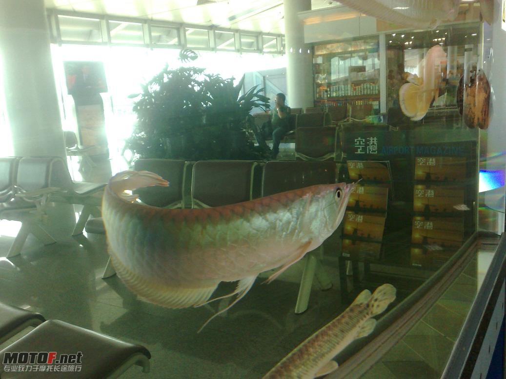 20100802112.jpg