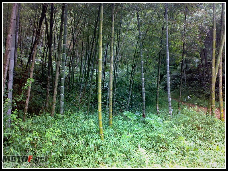 20100822583.jpg